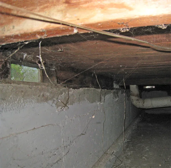Crawlspace Water Removal in a Stamford home