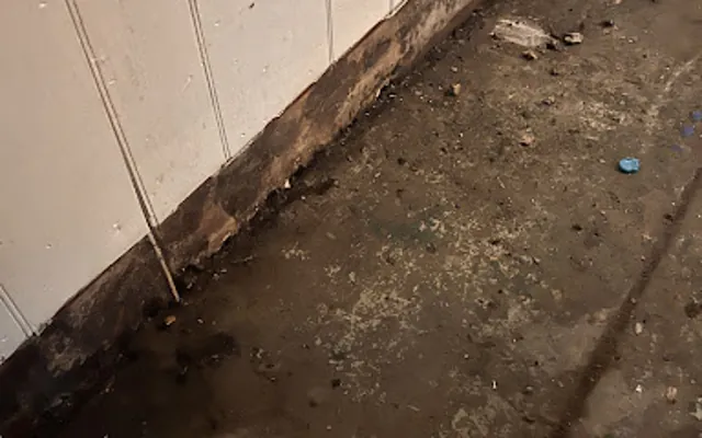 Clogged Drain / Drain Backup in Cove, Connecticut
